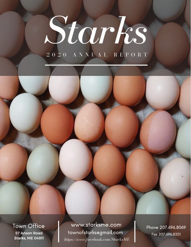 Town of Stark Annual Report
